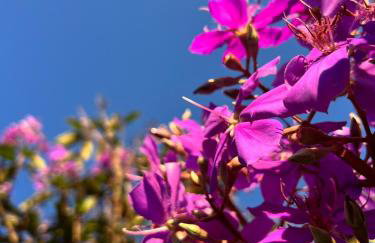 StayBr Casa Lolla - Country House - Foto 37