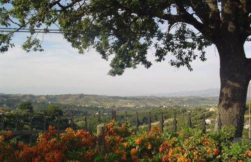 Albergo Arinde - Foto 19