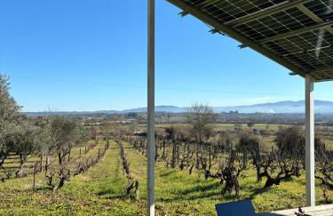 Casa Cabeço do Barragão - Photo 27