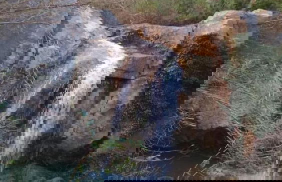 Mas de Leon - Photo 26