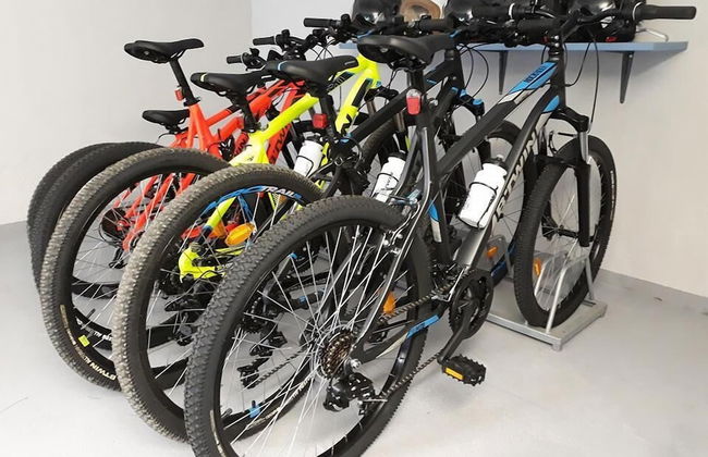 Apartments Viki - Photo 70