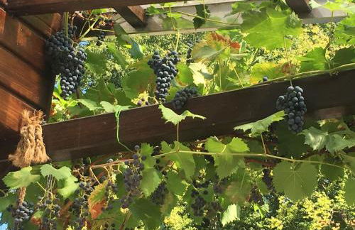 Kleiner Kalle - Foto 20