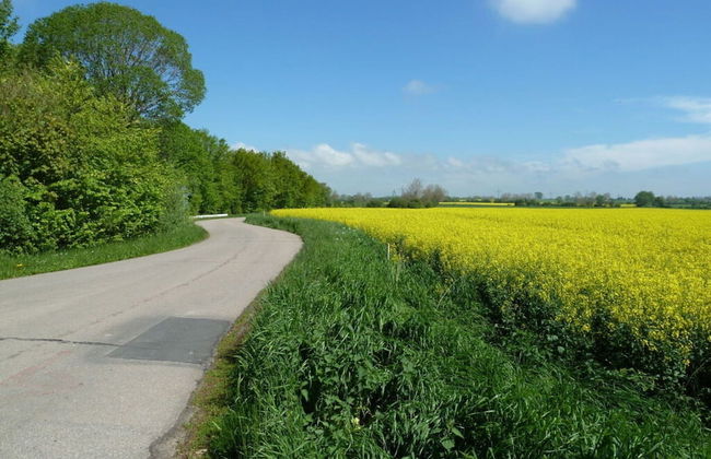 \"kleine Freiheit Fehmarn\" - Foto 26