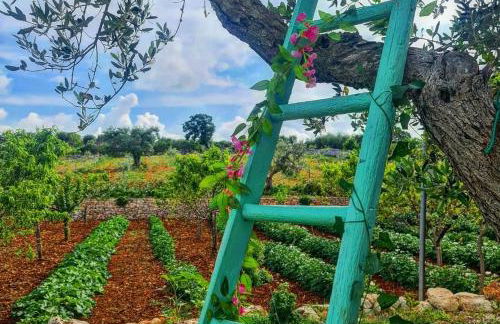 Trulli Pax Animi - Foto 51