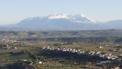 VILLETTA TRA GLI ULIVI - Foto 5