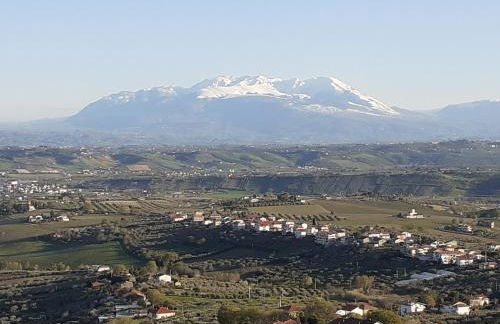 VILLETTA TRA GLI ULIVI - Foto 5