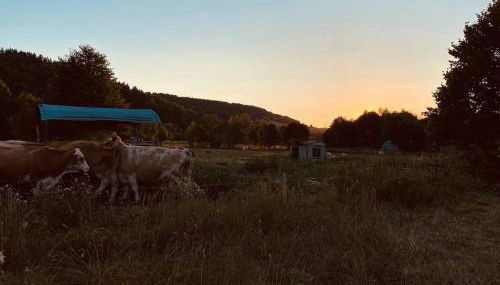 Ferienwohnung Nennigmühle - Foto 3