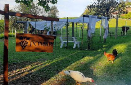 Casa na árvore com banheira, piscina, trilha, cavalo - Foto 30