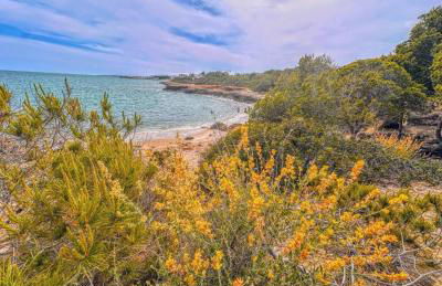 Bajo en Playa Romana Alcossebre - Foto 32