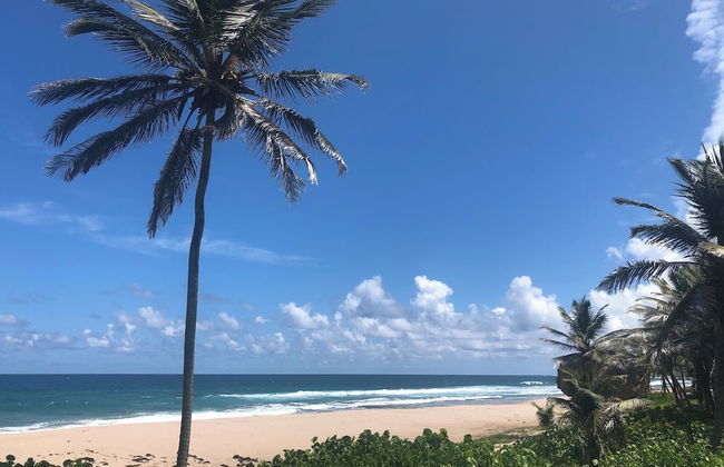 White Caps - Foto 44