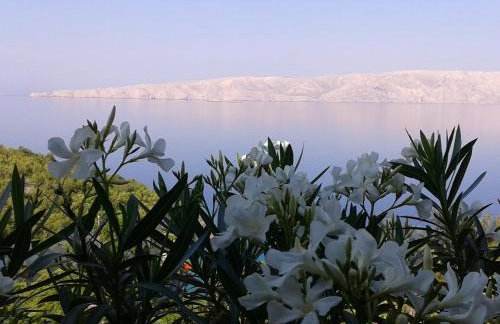 Apartments Adria - Foto 43