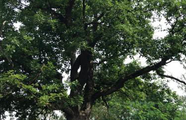 Casa Siepelunga - Photo 22