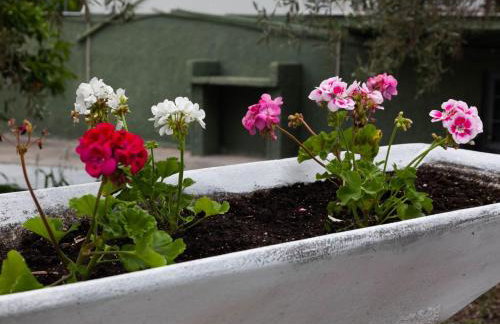 Villa Alex - Foto 59