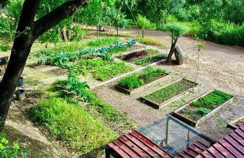 OakTree Villa - Quinta da BellaVista - Foto 35