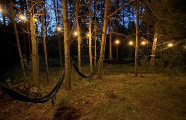 Baciki 61- domek przy lesie - Foto 23