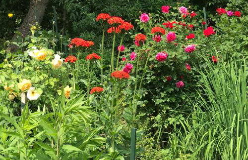 Gartenhaus Frieda - Foto 13