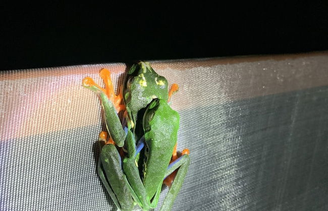 TIPS Vacation - Foto 58