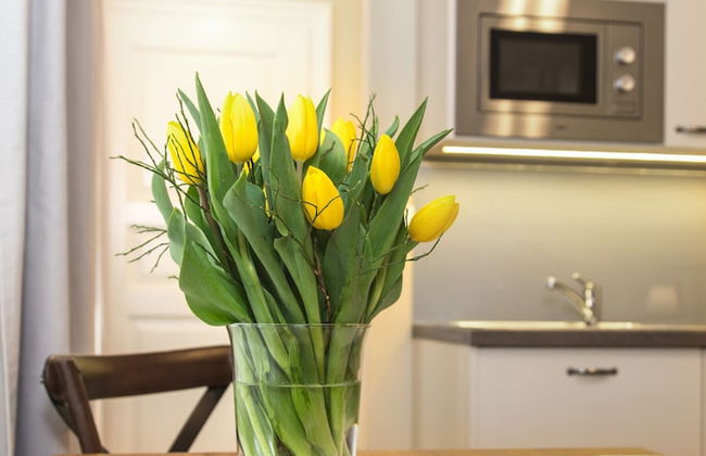 SeNo 6 Apartments - Photo 24