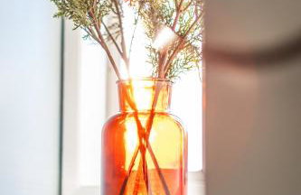 PlayDeck Cabin New River Gorge and Summersville Lake - Foto 54