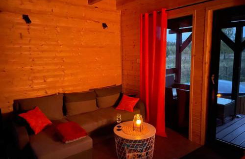 Cztery Czaple - całoroczne domki wczasowe na Kaszubach - Foto 4