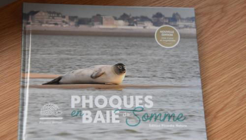 Escale à Saint Wary classé 4 Étoiles - Foto 5