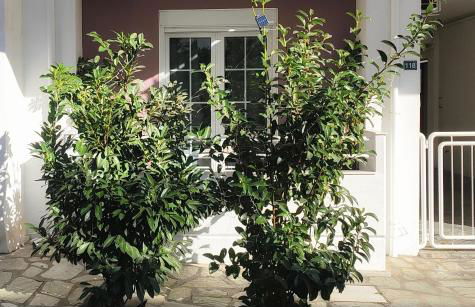 Home Volos - Foto 17