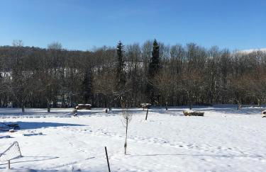 Holiday Home Near Lake and Leisure in Clos du Bannet - Foto 55