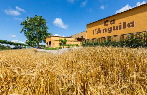 Turisme Rural Ca l,Anguila - Foto 6