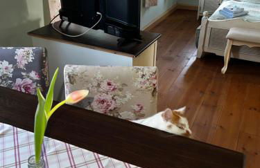 Ferienhaus Schwarzer Kater - Foto 25