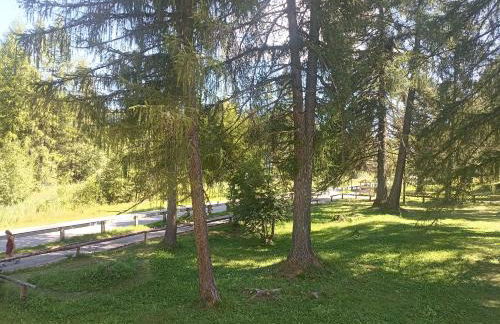 Bellamonte Villa Larici primo piano - Foto 36