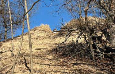 Beach Street Retreat - Foto 77