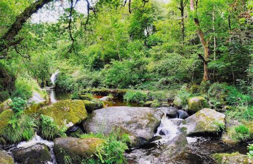 La Maison du Bonheur & Spa - Photo 55