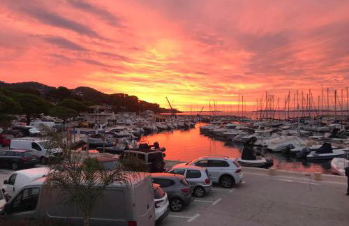 Bord de mer aux Pins Penchés - Foto 6