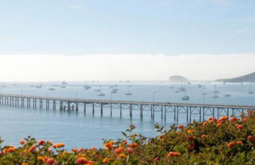 Diamond - San Luis Bay Inn 1BD - Foto 44