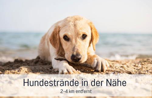 RamosHansenHof Fewo Hofglück 4Pers mit Hund - Foto 32