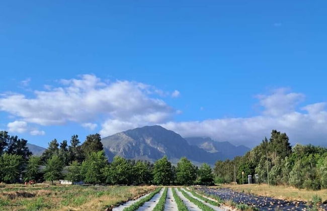 Vindoux Guest Farm and Day Spa - Photo 69