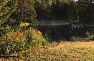 The Hunter Cabin at Sky Hollow - Foto 36