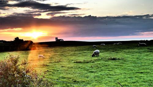 Main Street Cottage, Ballintoy - Foto 2