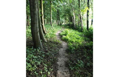 Romantic Thatched Roof House - Foto 47