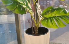 Apartament Pruszcz Park 10 - Foto 27