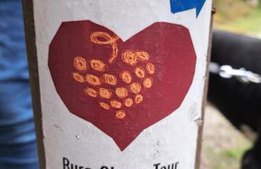 NEU! Fewo zum alten Bäckerlädchen - Foto 25