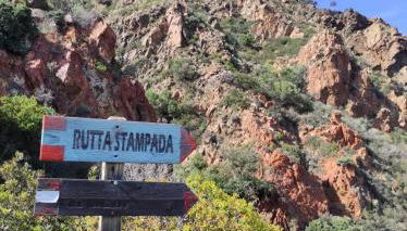 villa Dammar - Foto 5