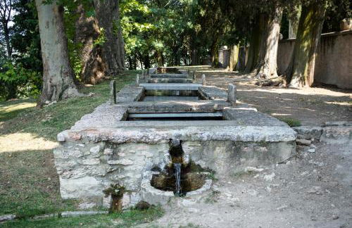 Villa Pellegrini - Foto 14