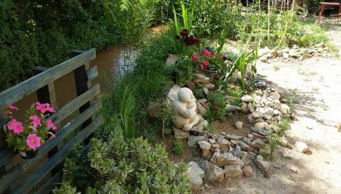 El Retiro de Isabel - Foto 1, Garden, Garden view