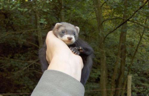 Neumühle from April 2014! - Foto 16