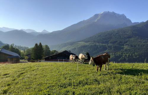 Klettnerlehen - Foto 14