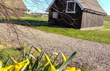 Macbeth's Hillock - Foto 20