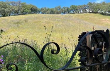 La Casa del Jardín - Foto 44