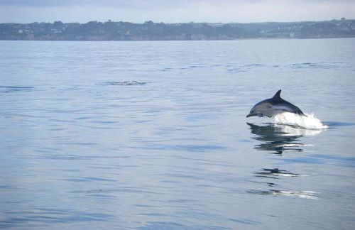 Holiday Home in Brittany with Sea Views - Foto 43