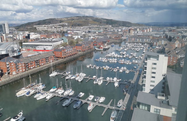 Panoramic View - Photo 12